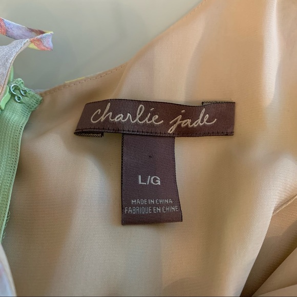 Charlie Jade maxi dress in large. - Picture 7 of 8